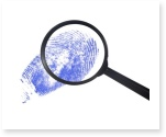 investigation essay