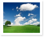 Landscape Essays