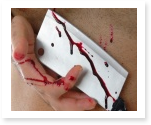 essay on murder