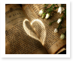 report on the book