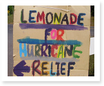 disaster management papers