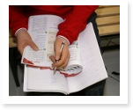 Fake Essays
